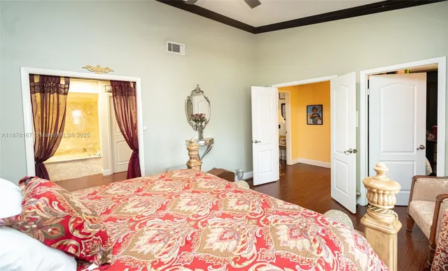 a view of backyard with potted plants and a large tree