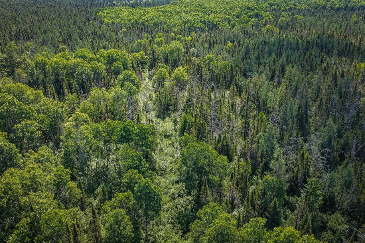 South North Hulbert Road Eckerman, MI 49728 - Photo 7 of 29