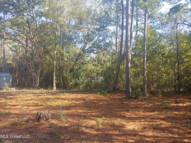 $58,000 | Nhn East Crazy Horse Drive, Kiln, MS 39556