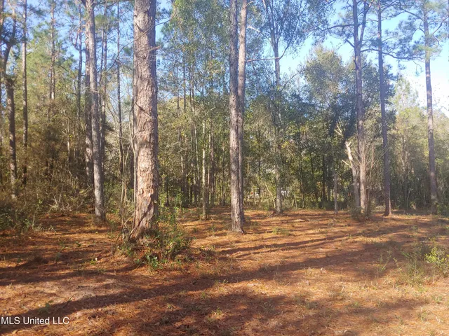 $58,000 | Nhn East Crazy Horse Drive, Kiln, MS 39556