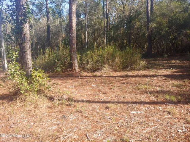 $58,000 | Nhn East Crazy Horse Drive, Kiln, MS 39556