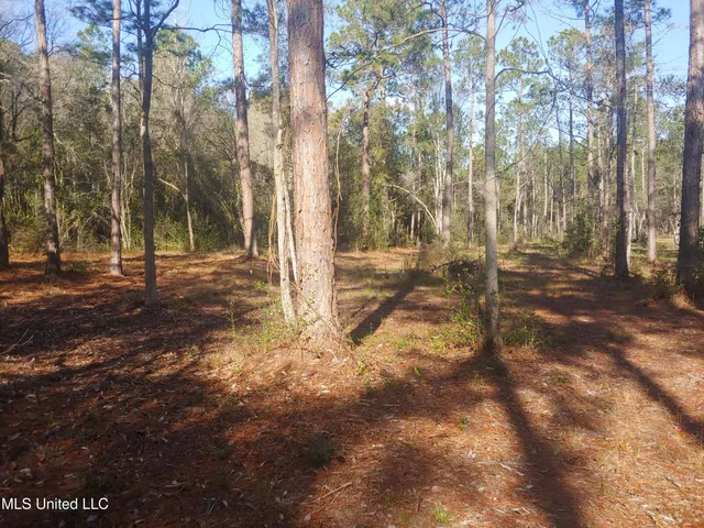 $58,000 | Nhn East Crazy Horse Drive, Kiln, MS 39556