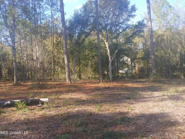 $58,000 | Nhn East Crazy Horse Drive, Kiln, MS 39556