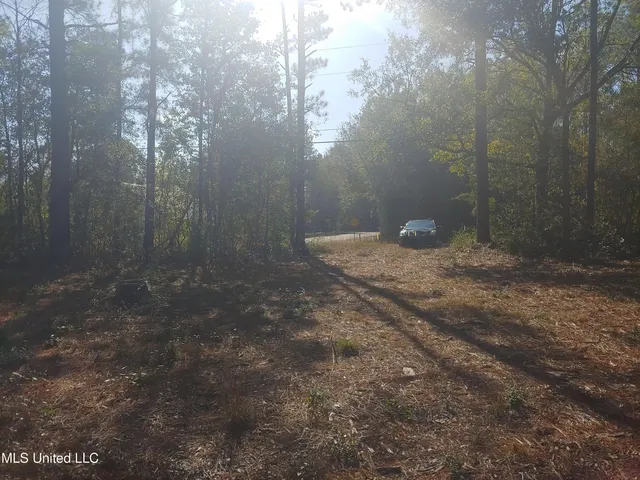 $58,000 | Nhn East Crazy Horse Drive, Kiln, MS 39556