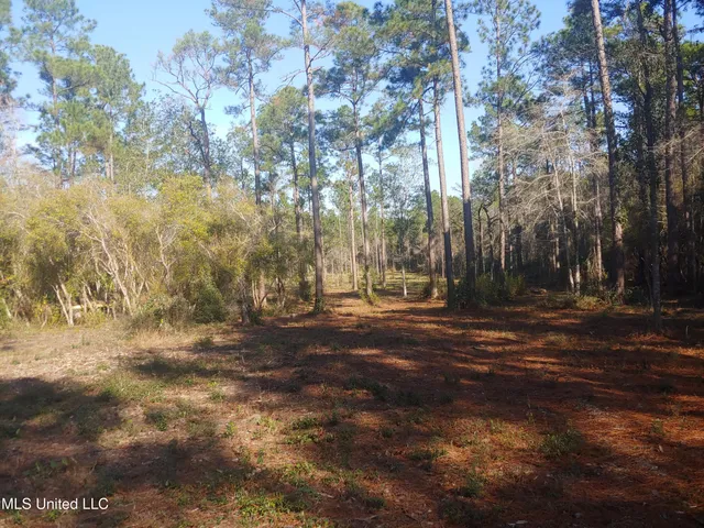 $58,000 | Nhn East Crazy Horse Drive, Kiln, MS 39556