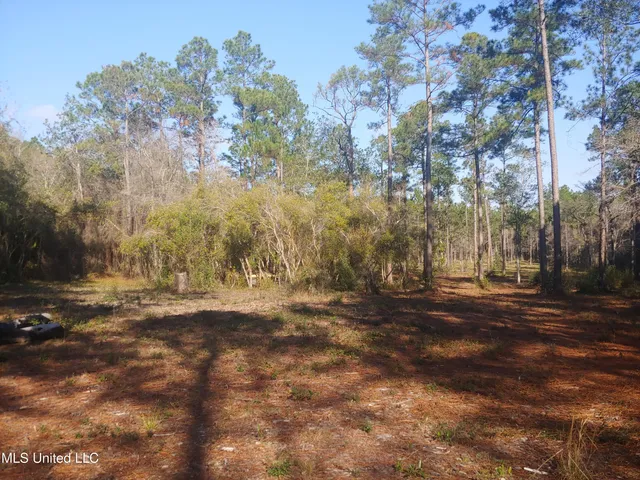 $58,000 | Nhn East Crazy Horse Drive, Kiln, MS 39556