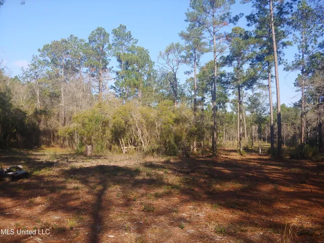$58,000 | Nhn East Crazy Horse Drive, Kiln, MS 39556