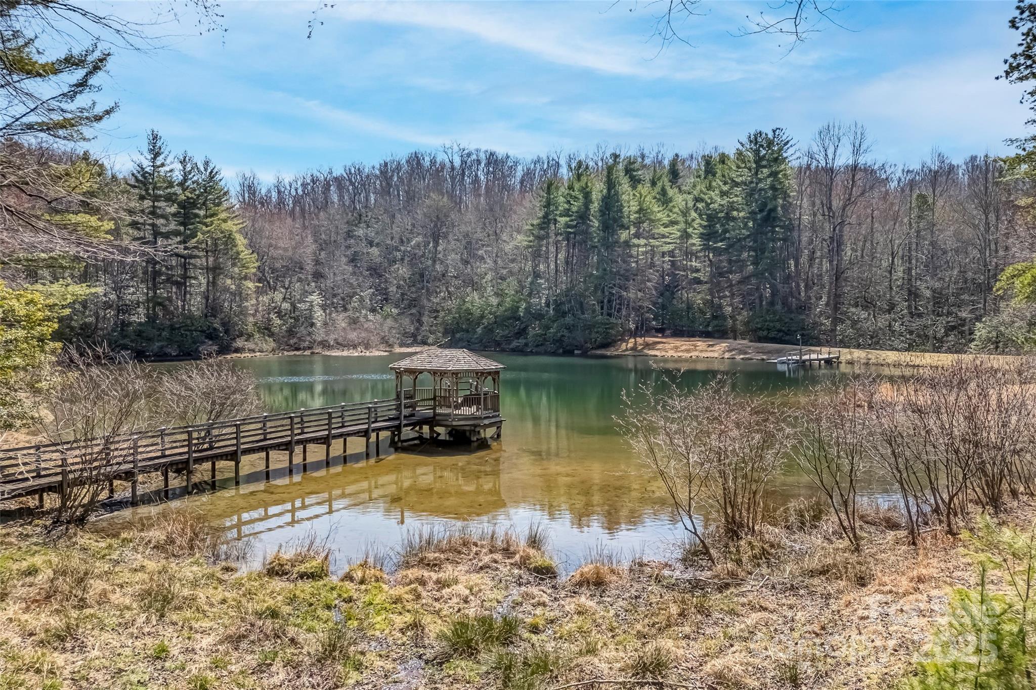 674 Walnut Ridge Road Brevard, NC 28712 - Photo 3 of 45 Gallery Image 3