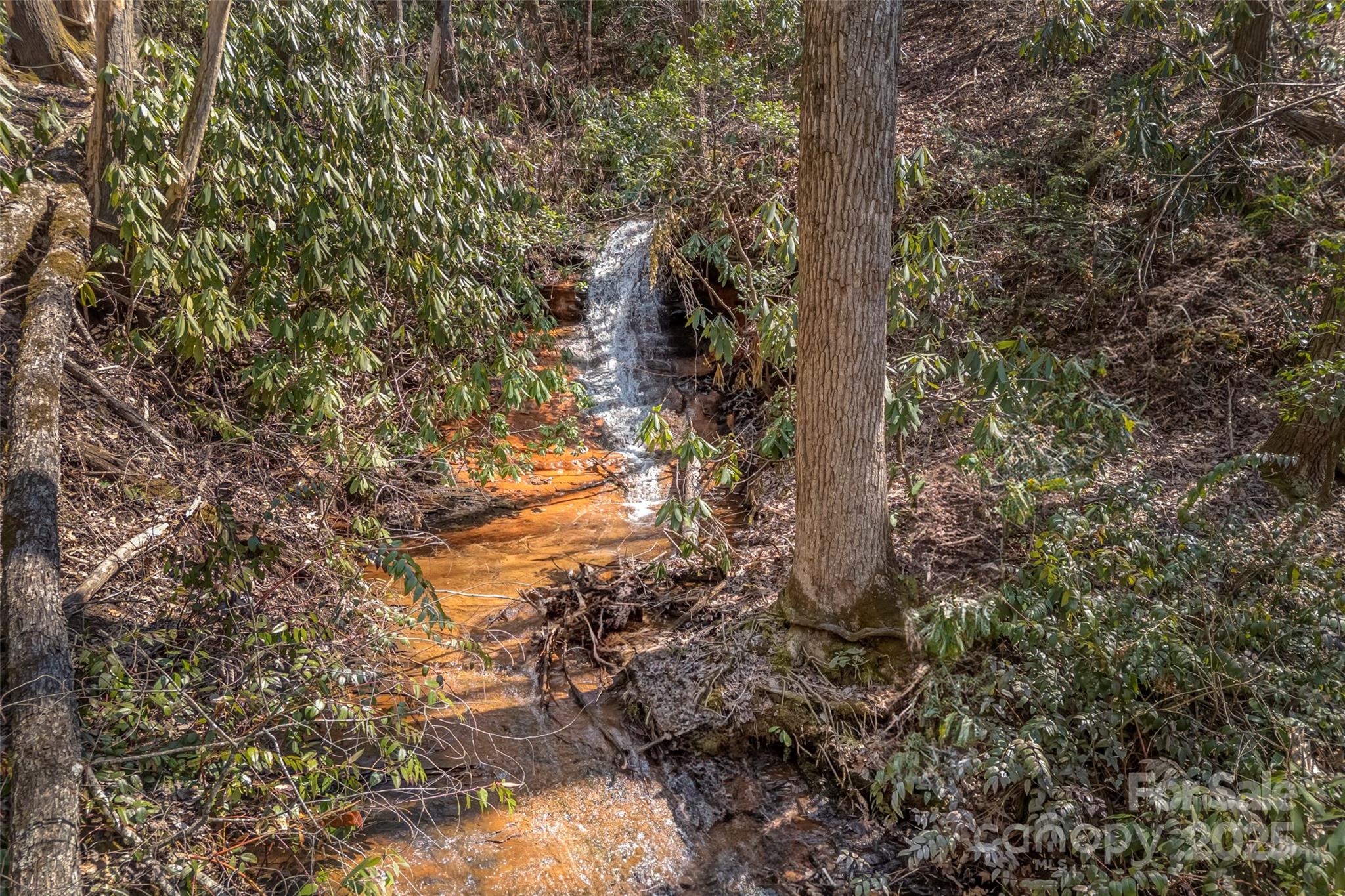 674 Walnut Ridge Road Brevard, NC 28712 - Photo 43 of 45 Gallery Image 43