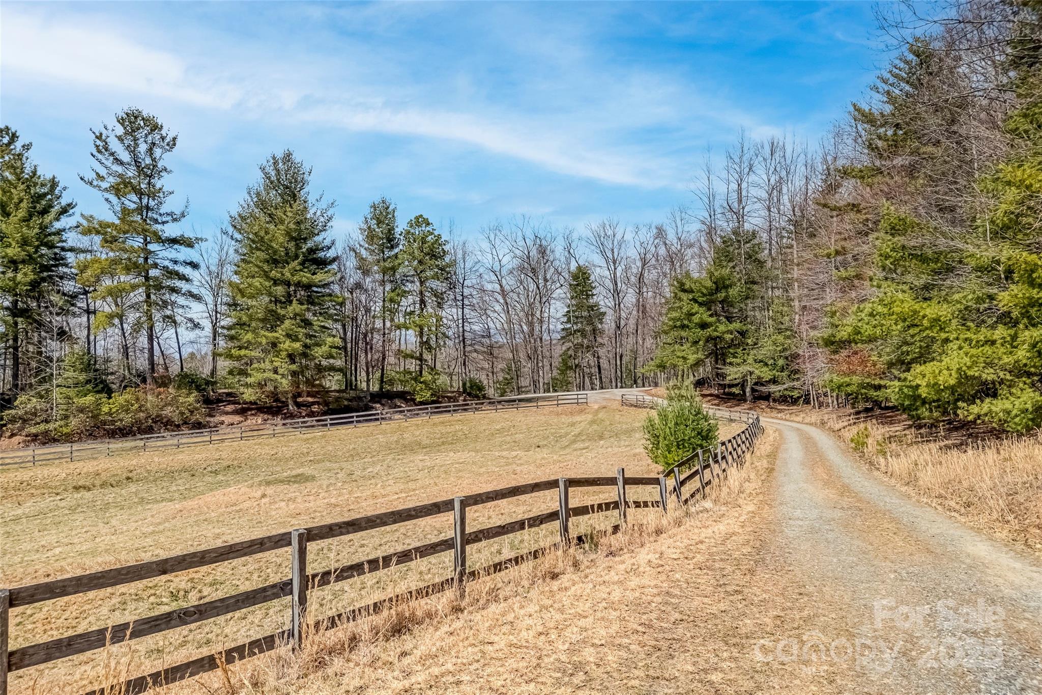 674 Walnut Ridge Road Brevard, NC 28712 - Photo 10 of 45 Gallery Image 10