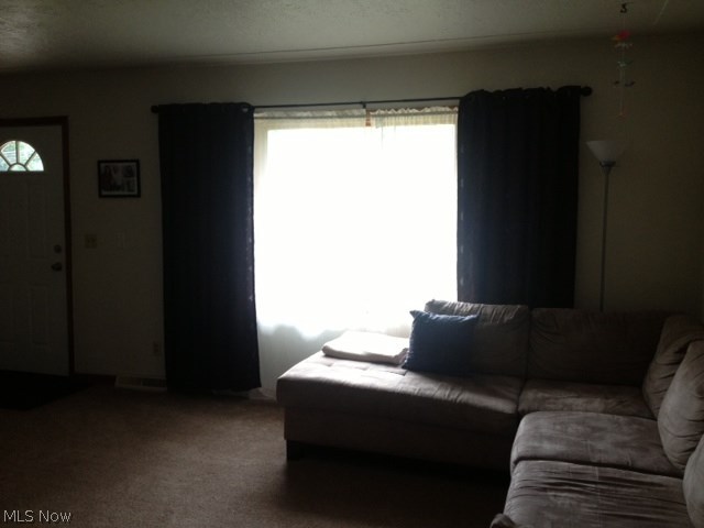 39373 Chestnut Ridge Road Elyria, OH 44035 - Photo 2 of 9 Gallery Image 2