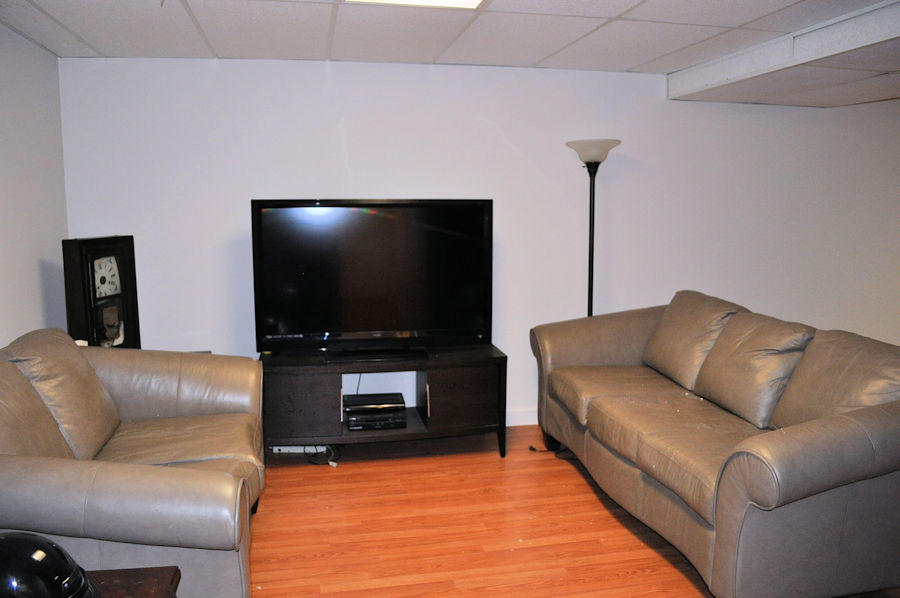 165 Maple Ridge Lane Seymour, TN 37865 - Photo 24 of 38 basement1