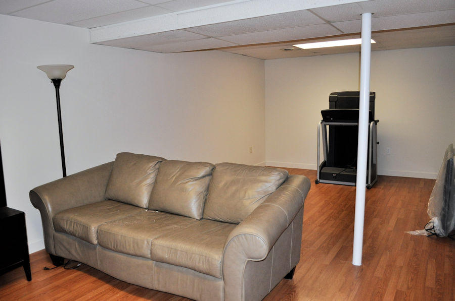 165 Maple Ridge Lane Seymour, TN 37865 - Photo 25 of 38 basement2