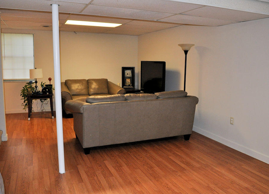 165 Maple Ridge Lane Seymour, TN 37865 - Photo 26 of 38 basement3