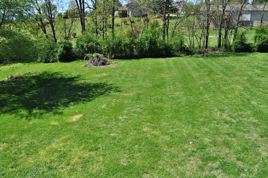 165 Maple Ridge Lane Seymour, TN 37865 - Photo 35 of 38 backyard2