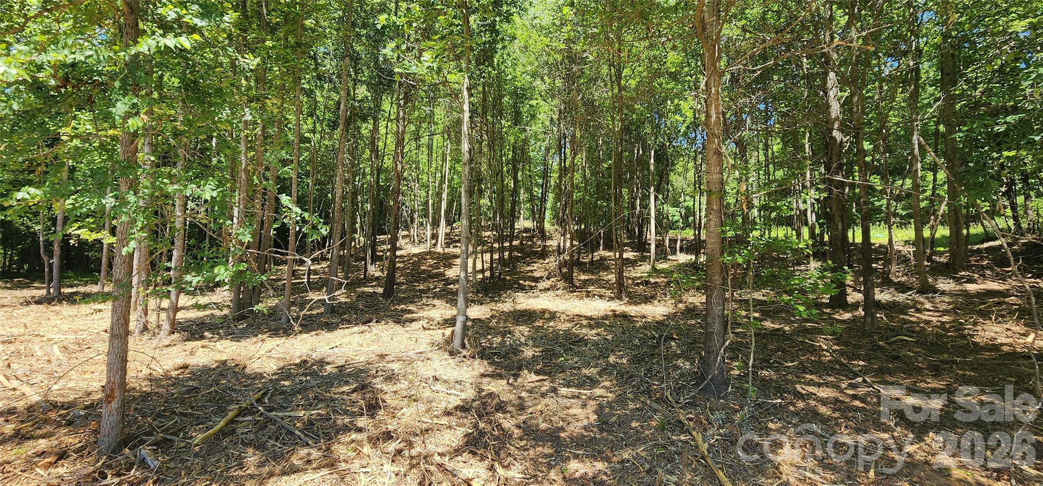 480 Brown Road Spartanburg, SC 29302 - Photo 21 of 47 a view of outdoor space and a yard