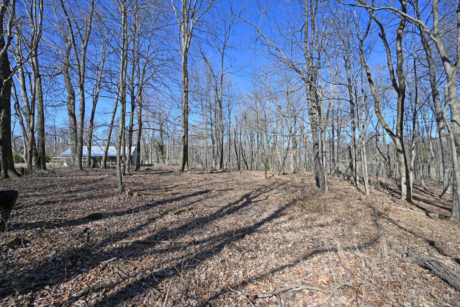 2891 Mt Olive Point Isabel Road Bethel, OH 45106 - Photo 16 of 27 Gallery Image 16