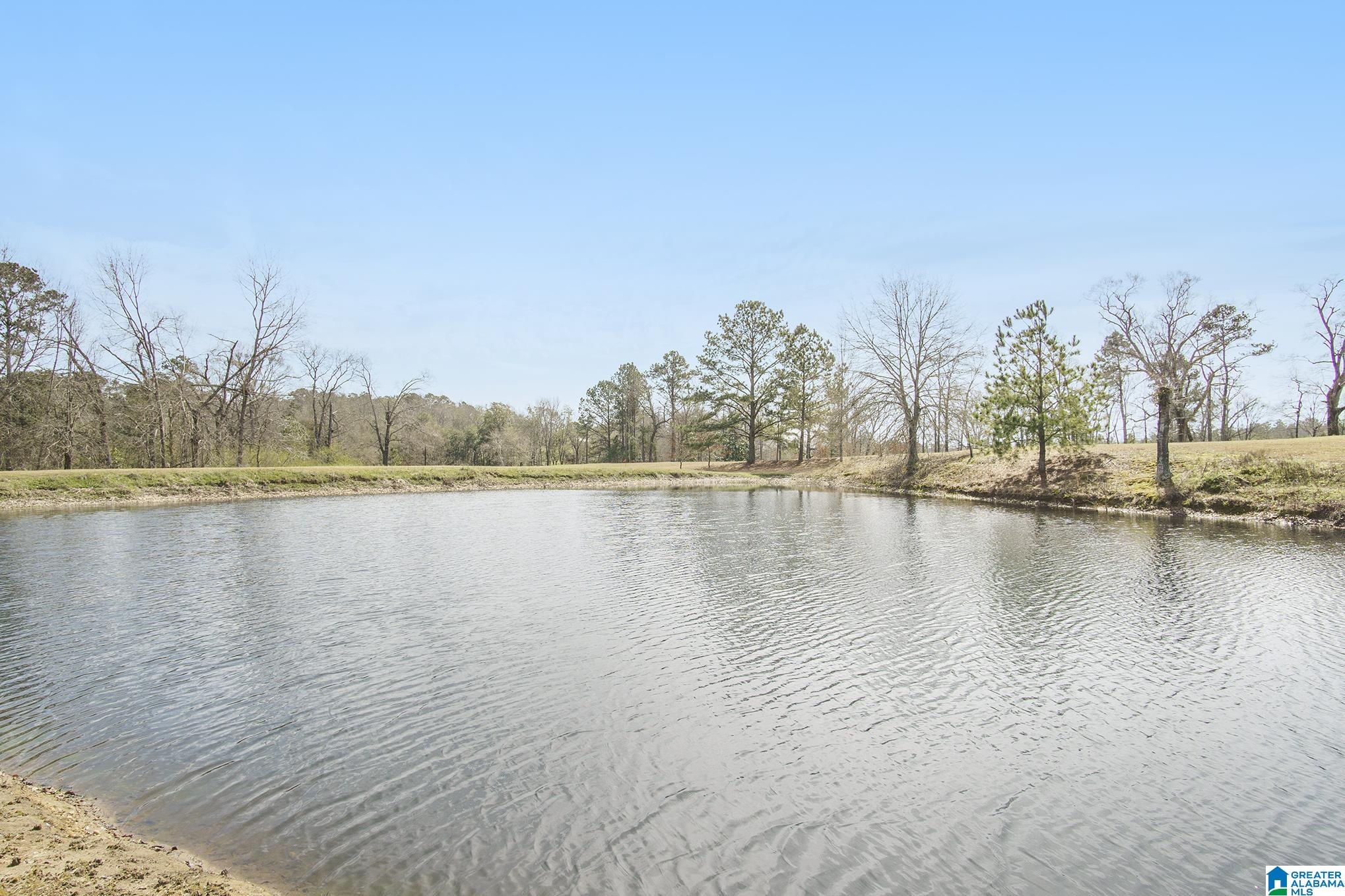 81 Tuscaloosa Road Thorsby, AL 35171 - Photo 32 of 41