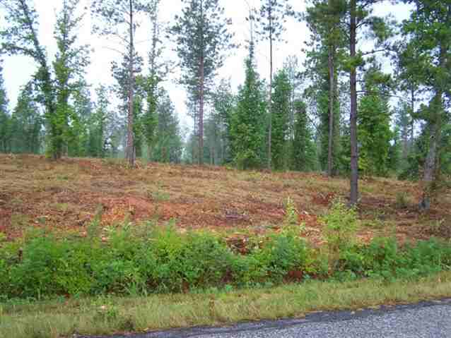 0 Stewart Dairy Road, Unit LOT 14 Fountain Inn, SC 29644 - Photo 2 of 10