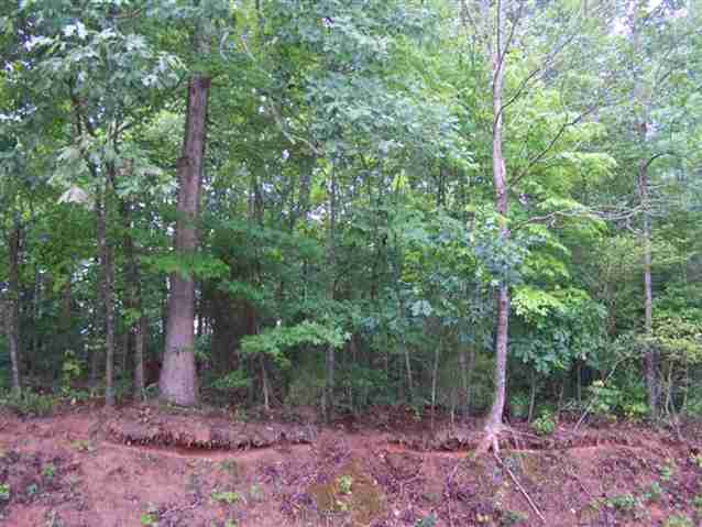0 Stewart Dairy Road, Unit LOT 14 Fountain Inn, SC 29644 - Photo 3 of 10