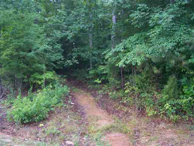 0 Stewart Dairy Road, Unit LOT 14 Fountain Inn, SC 29644 - Photo 5 of 10