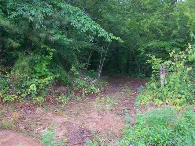 0 Stewart Dairy Road, Unit LOT 14 Fountain Inn, SC 29644 - Photo 6 of 10