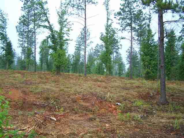 0 Stewart Dairy Road, Unit LOT 14 Fountain Inn, SC 29644 - Photo 7 of 10
