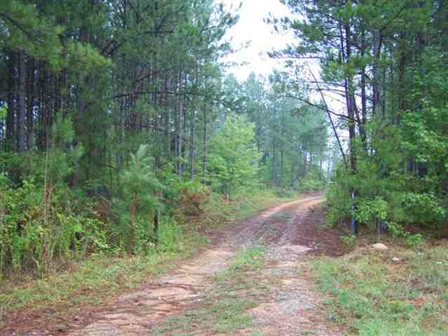0 Stewart Dairy Road, Unit LOT 14 Fountain Inn, SC 29644 - Photo 8 of 10