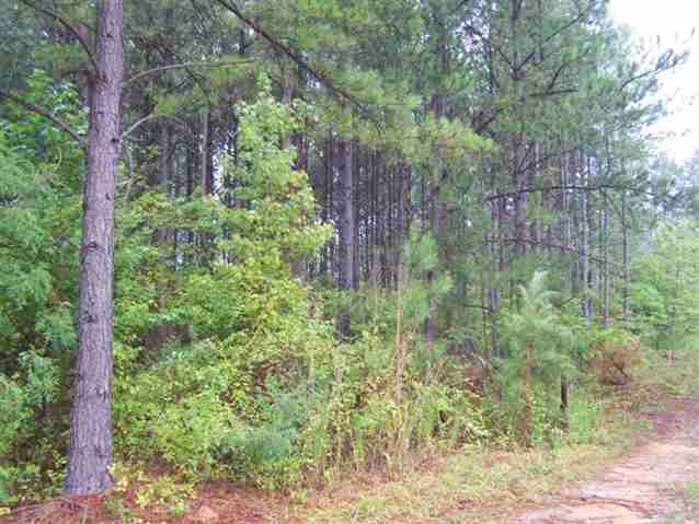 0 Stewart Dairy Road, Unit LOT 14 Fountain Inn, SC 29644 - Photo 9 of 10