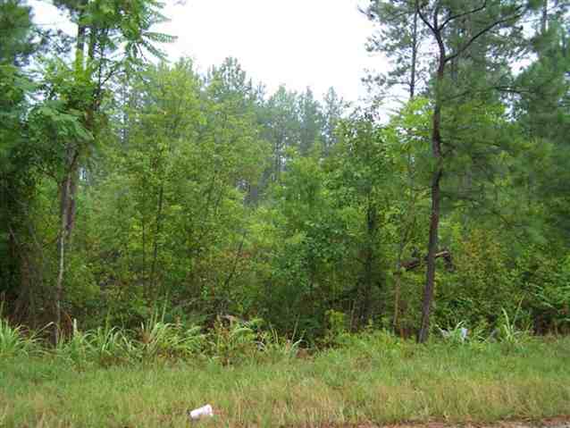 0 Stewart Dairy Road, Unit LOT 14 Fountain Inn, SC 29644 - Photo 10 of 10