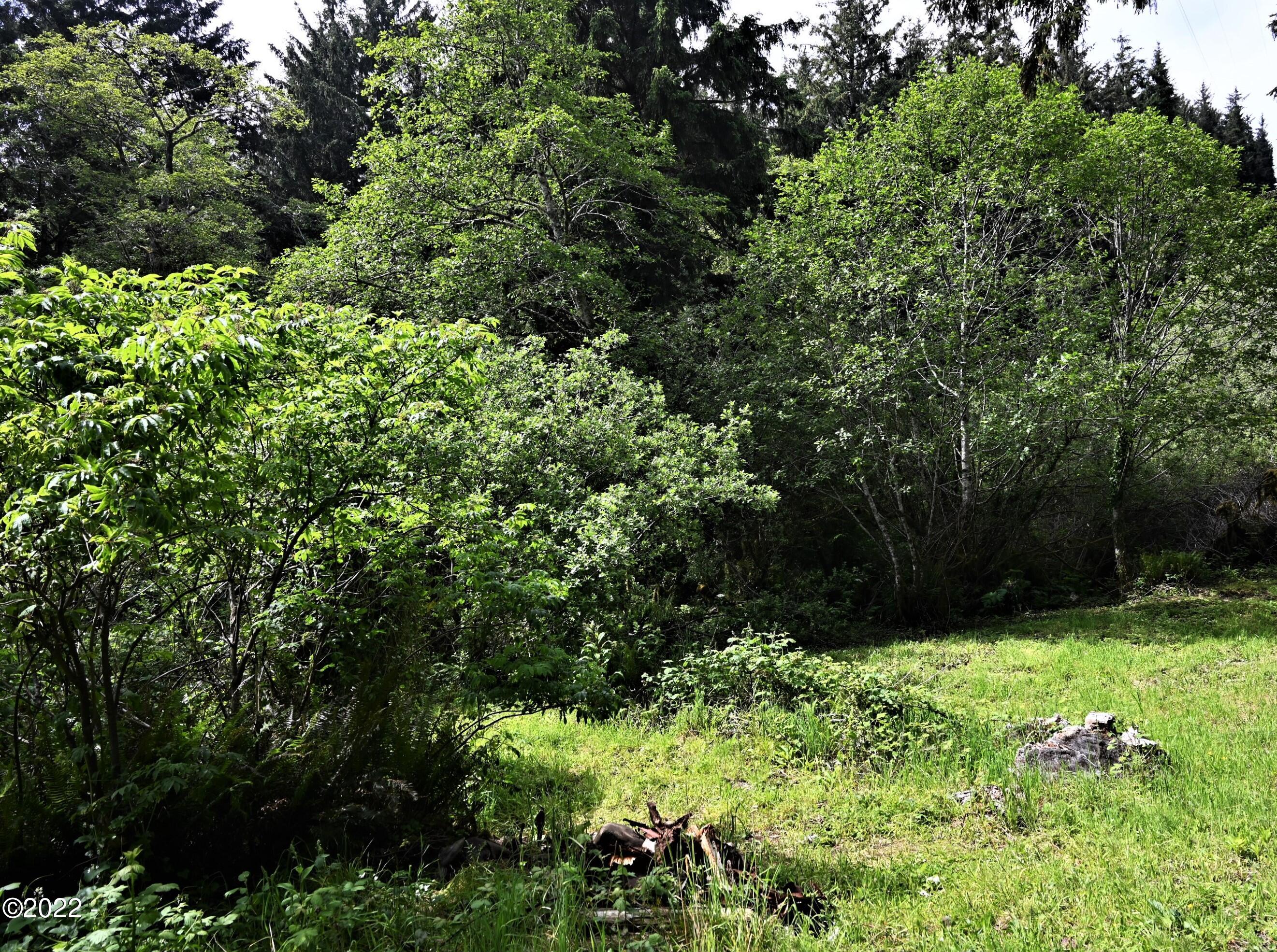 5489 South Bob Creek Road Yachats, OR 97498 - Photo 5 of 12 Yard