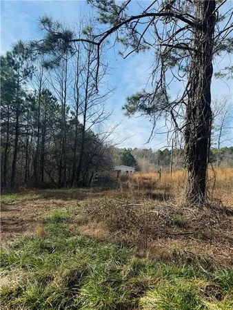 a view of a yard with a tree
