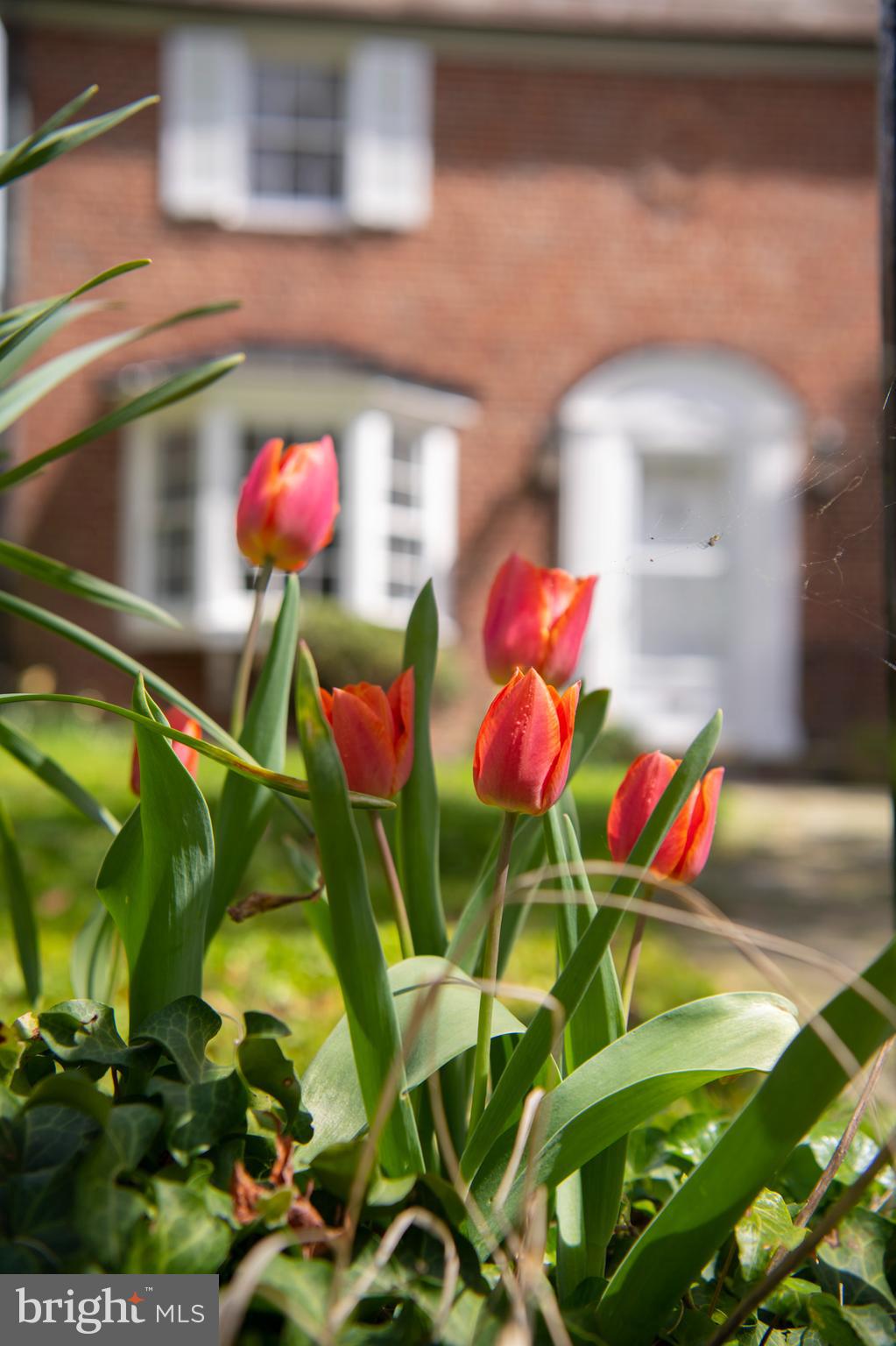 5507 Springlake Way Baltimore, MD 21212 - Photo 40 of 46 Property features wonderful landscaping