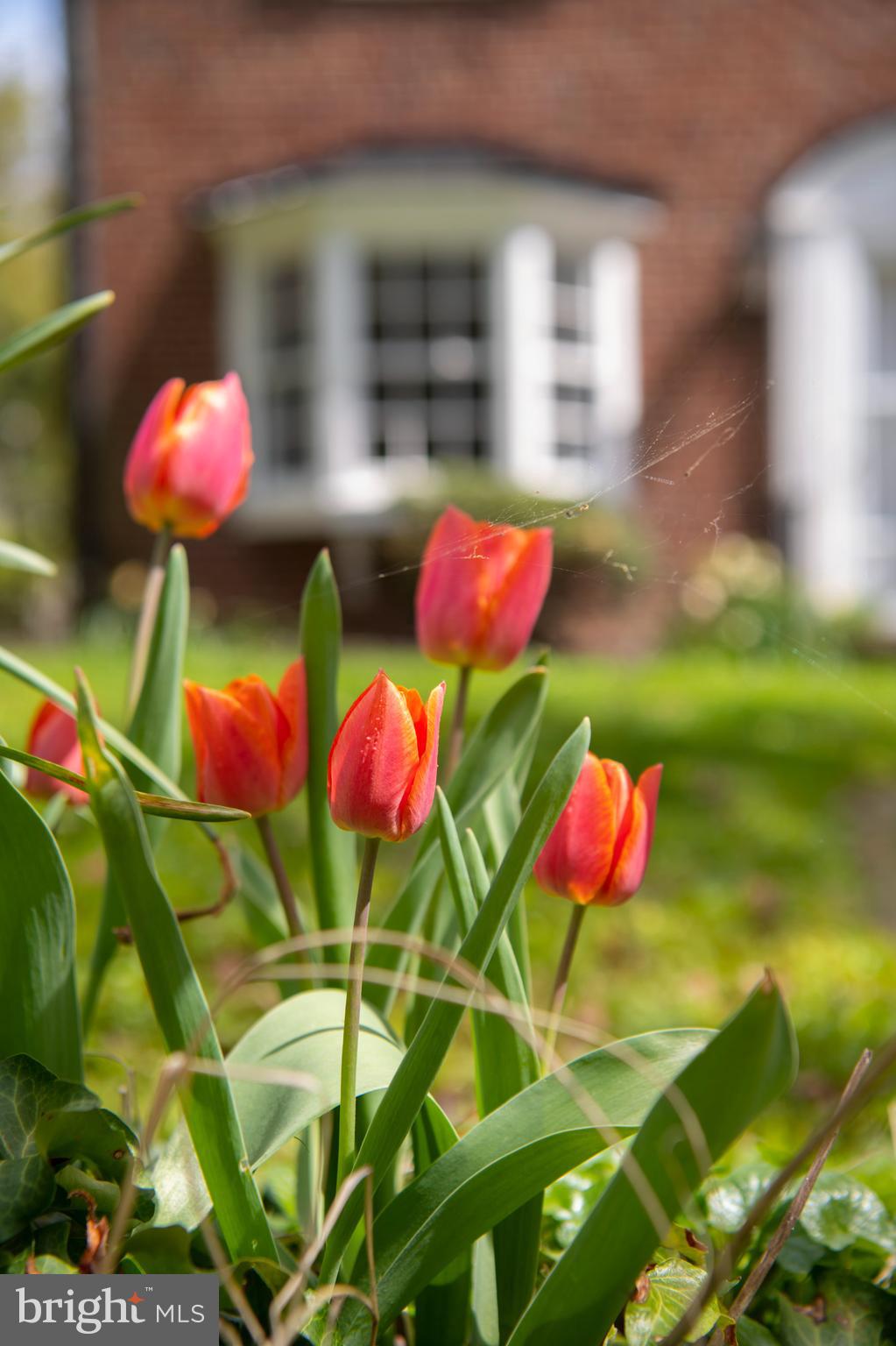 5507 Springlake Way Baltimore, MD 21212 - Photo 41 of 46