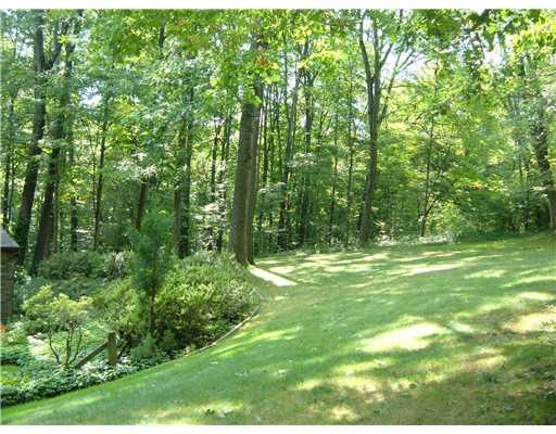 126 Spring Hollow Drive Apollo, PA 15613 - Photo 11 of 12 Land/Lot. beautiful mature trees surround your own private paradise!