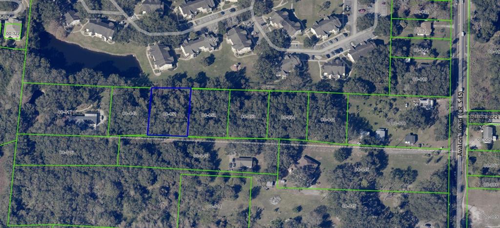 1362 Avalon Road Winter Garden, FL 34787 - Photo 12 of 18