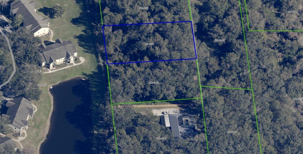 1362 Avalon Road Winter Garden, FL 34787 - Photo 13 of 18