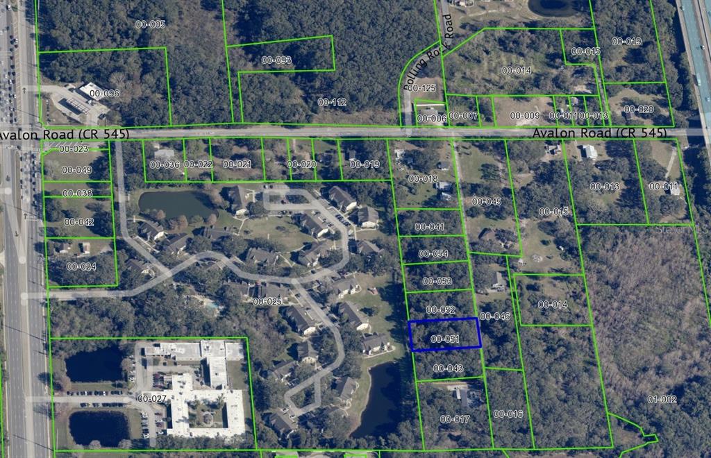 1362 Avalon Road Winter Garden, FL 34787 - Photo 14 of 18