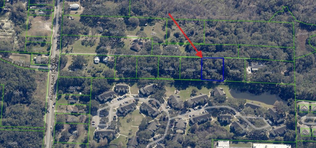 1362 Avalon Road Winter Garden, FL 34787 - Photo 15 of 18