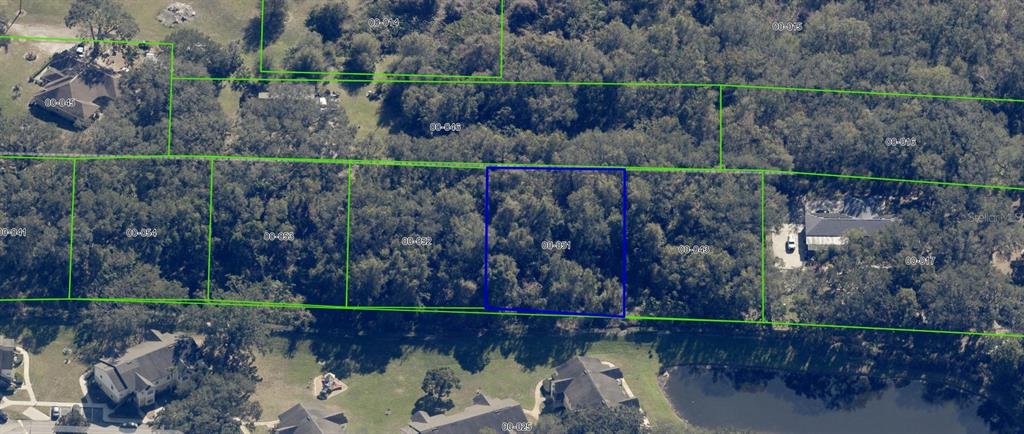 1362 Avalon Road Winter Garden, FL 34787 - Photo 16 of 18