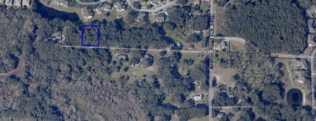 1362 Avalon Road Winter Garden, FL 34787 - Photo 17 of 18