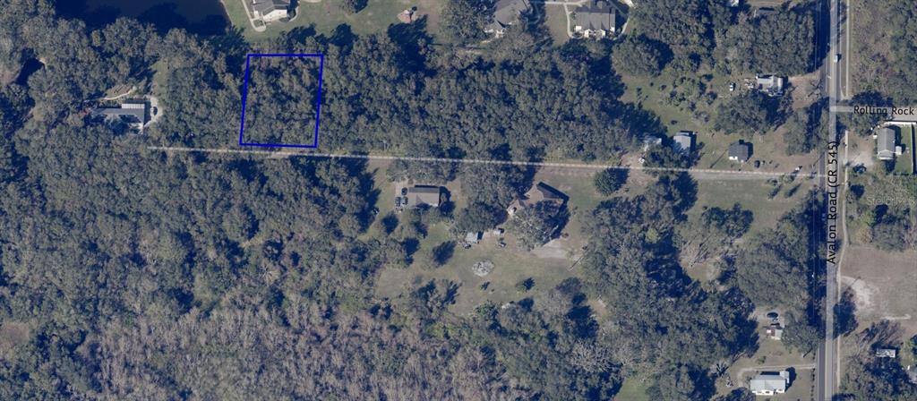 1362 Avalon Road Winter Garden, FL 34787 - Photo 18 of 18