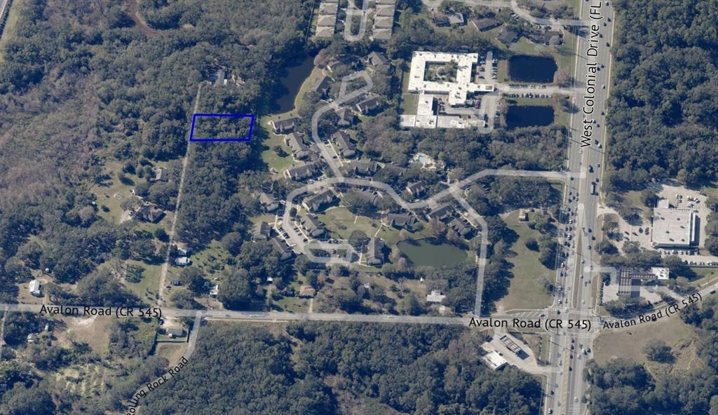 1362 Avalon Road Winter Garden, FL 34787 - Photo 6 of 18