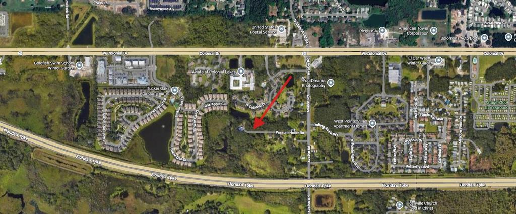 1362 Avalon Road Winter Garden, FL 34787 - Photo 7 of 18