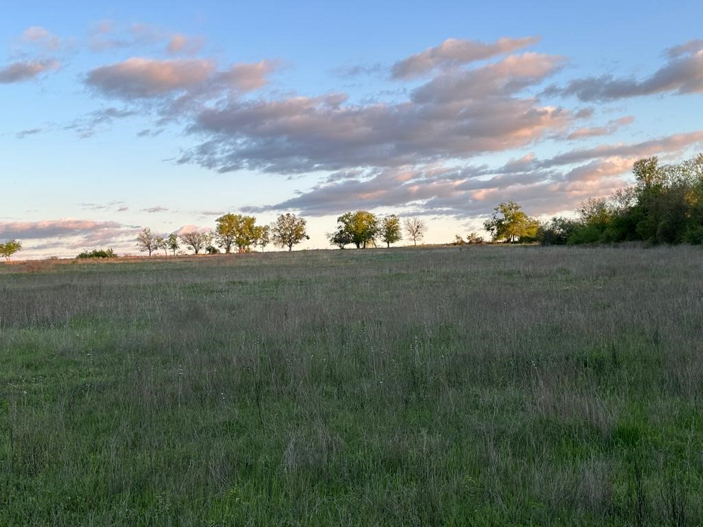 1105 St Georgetown Tx 78626 Georgetown, TX 78626 - Photo 9 of 12
