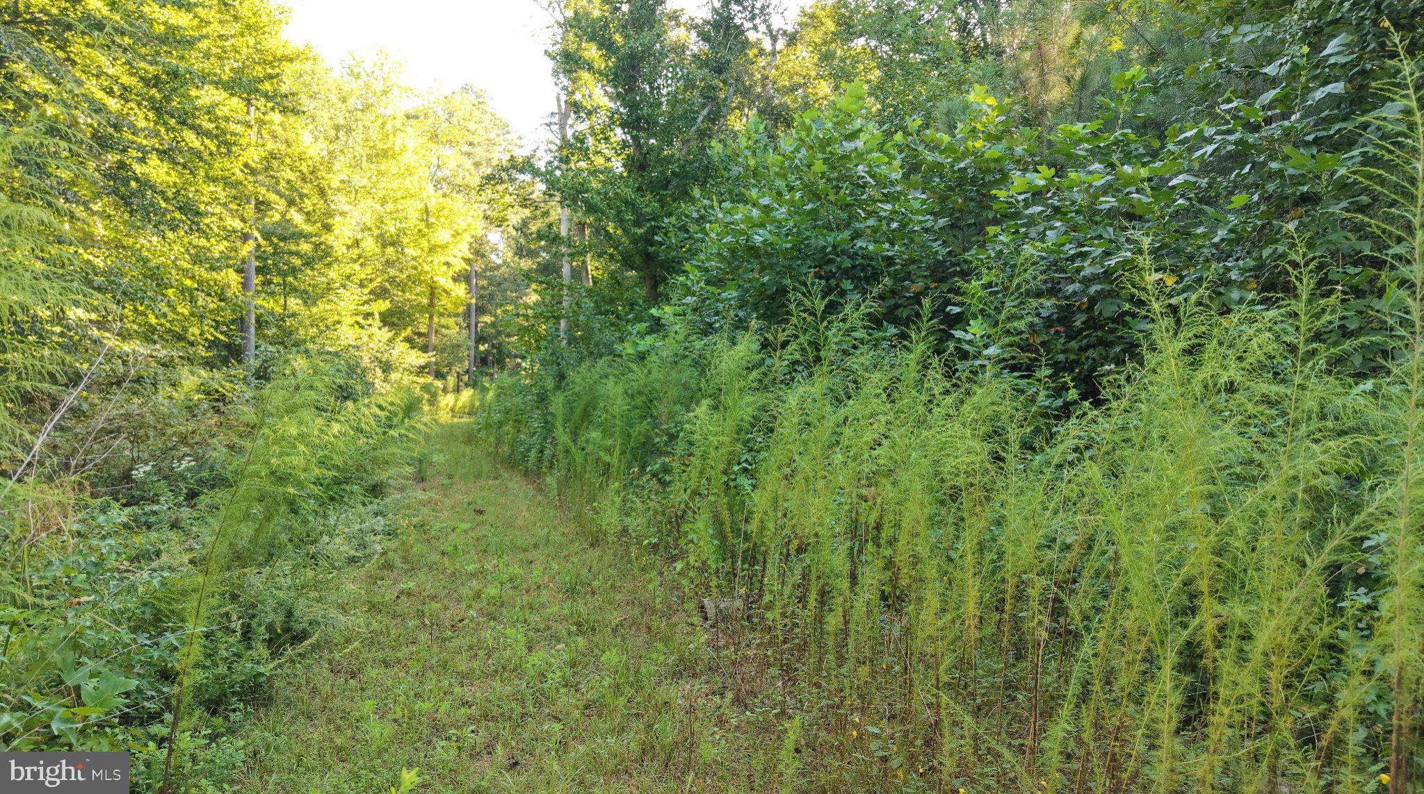 3 Legion Road Denton, MD 21629 - Photo 1 of 16 Gallery Image 1