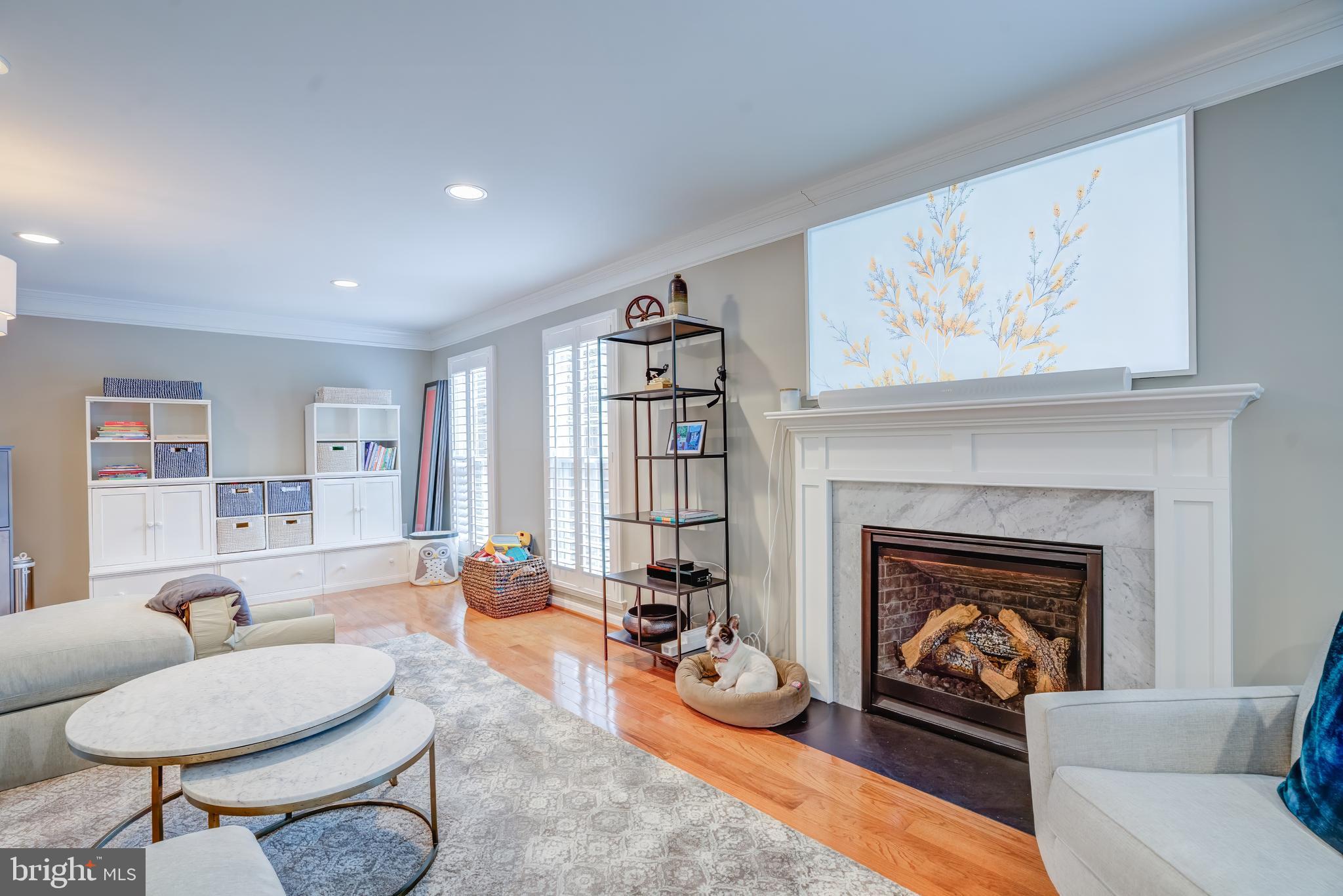 8529 High Timber Court Ellicott City, MD 21043 - Photo 14 of 94 a living room with furniture a fireplace and wooden floor