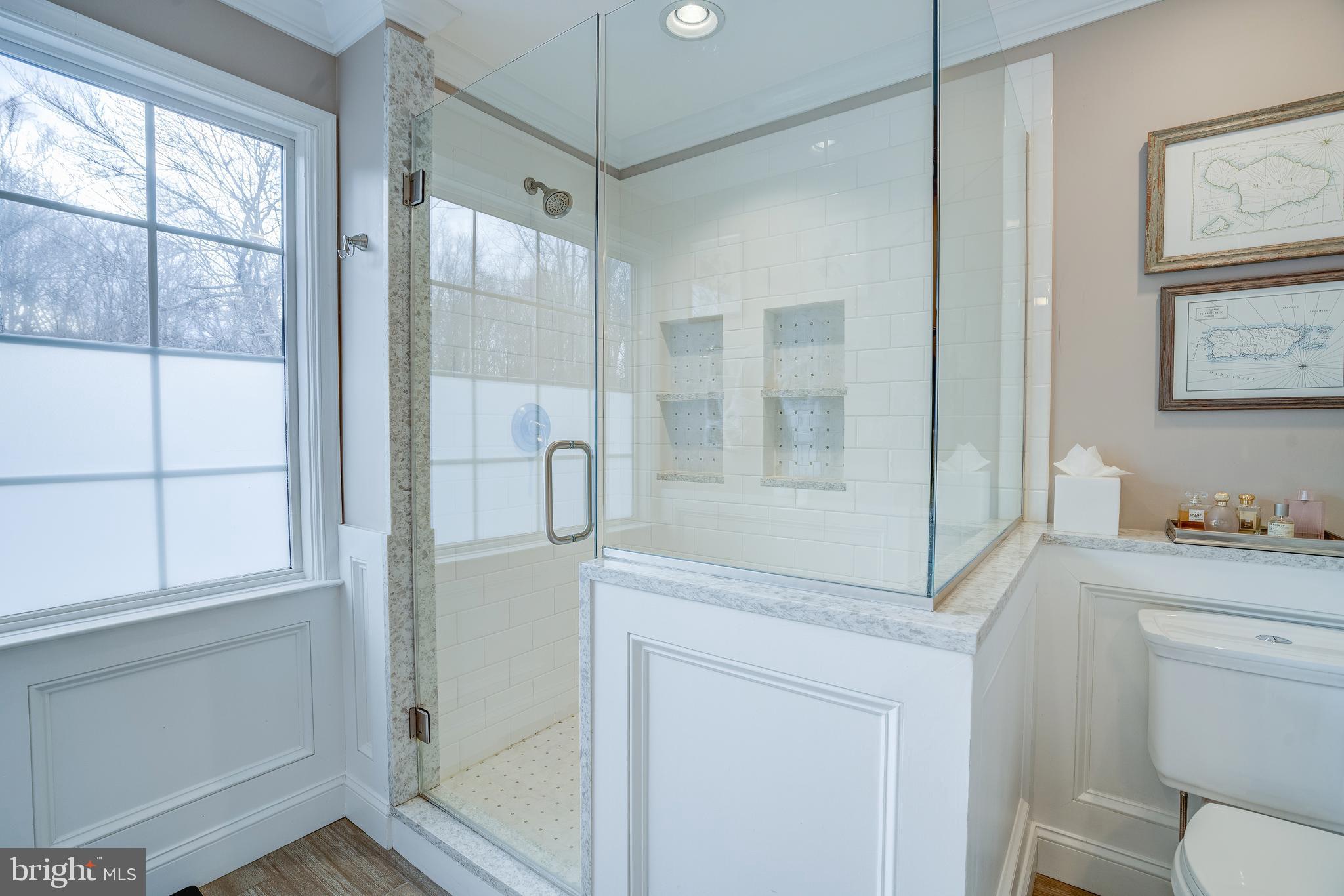 8529 High Timber Court Ellicott City, MD 21043 - Photo 43 of 94 a bathroom with a shower and a toilet