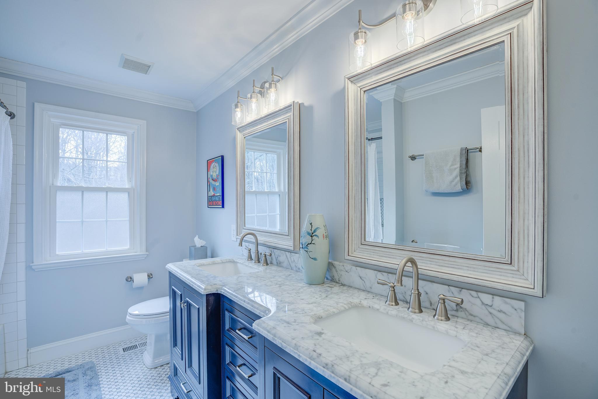 8529 High Timber Court Ellicott City, MD 21043 - Photo 47 of 94 a bathroom with a granite countertop sink a toilet and a mirror