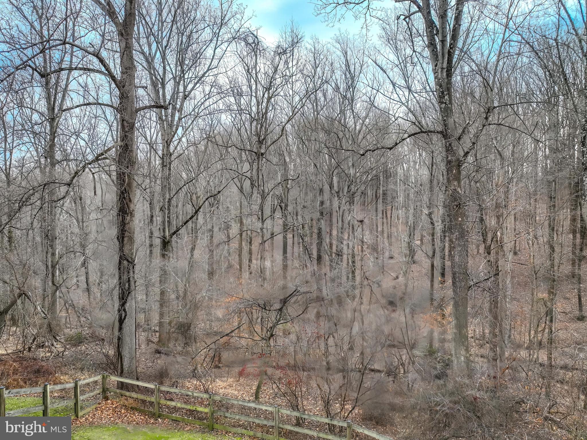 8529 High Timber Court Ellicott City, MD 21043 - Photo 87 of 94 a backyard of a house with lots of green space